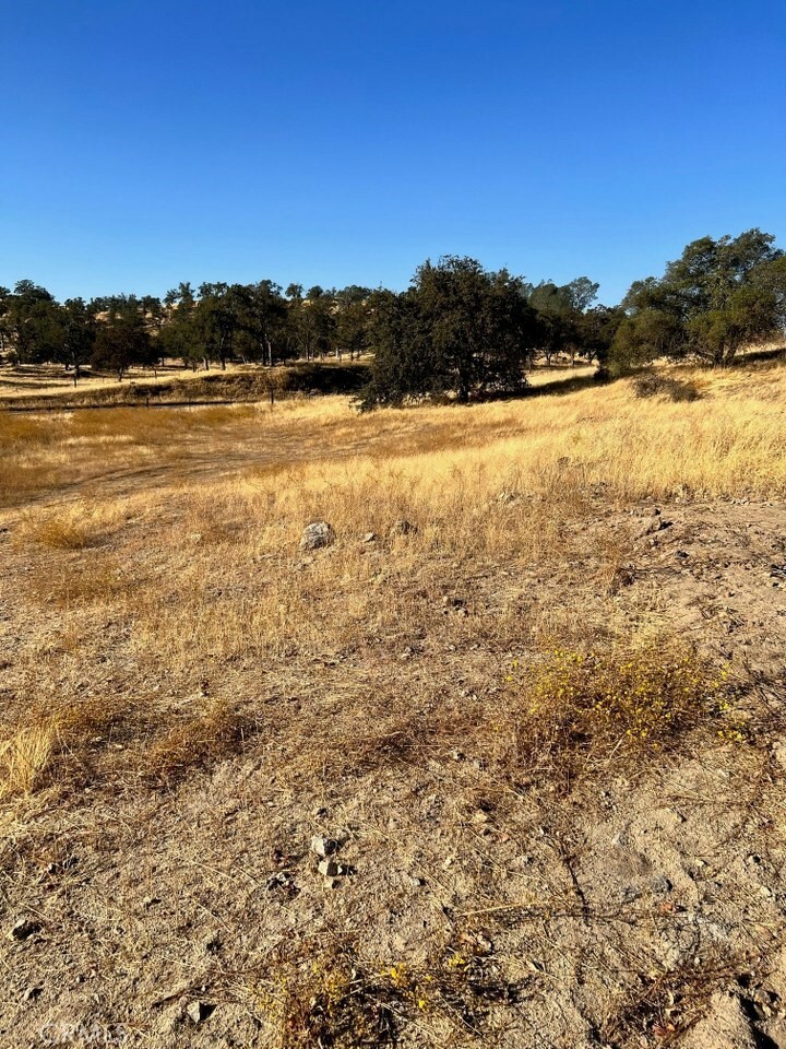 Property Photo:  0 Lot 1 Sunflower Lane  CA 93645 