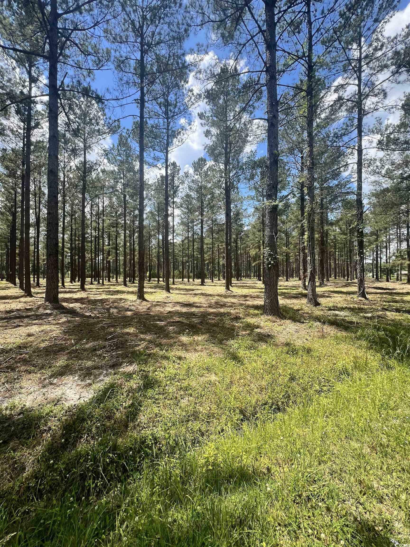 Property Photo:  Lot 1 Ashley Circle  SC 29526 