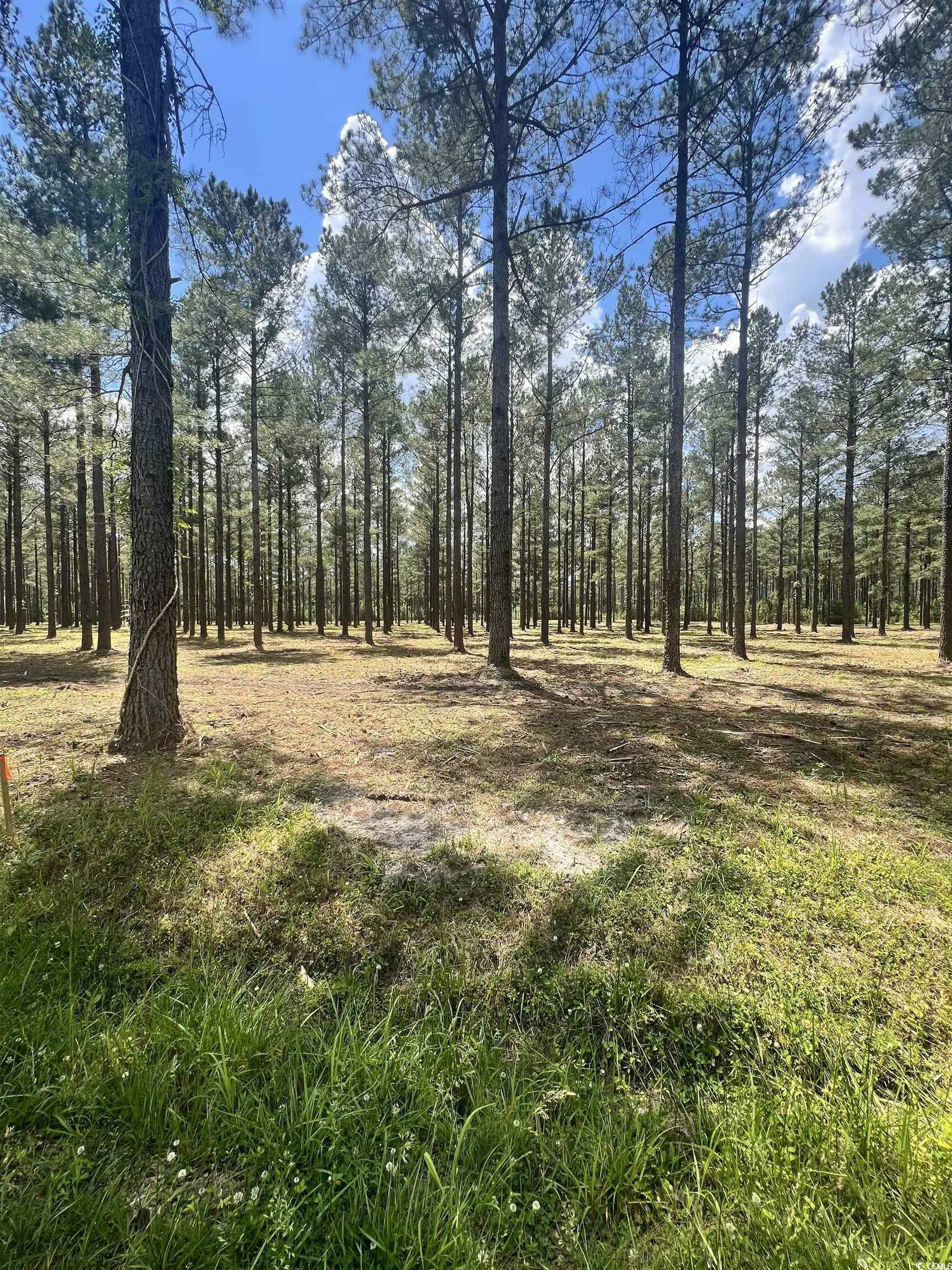 Property Photo:  Lot 2 Ashley Circle  SC 29526 