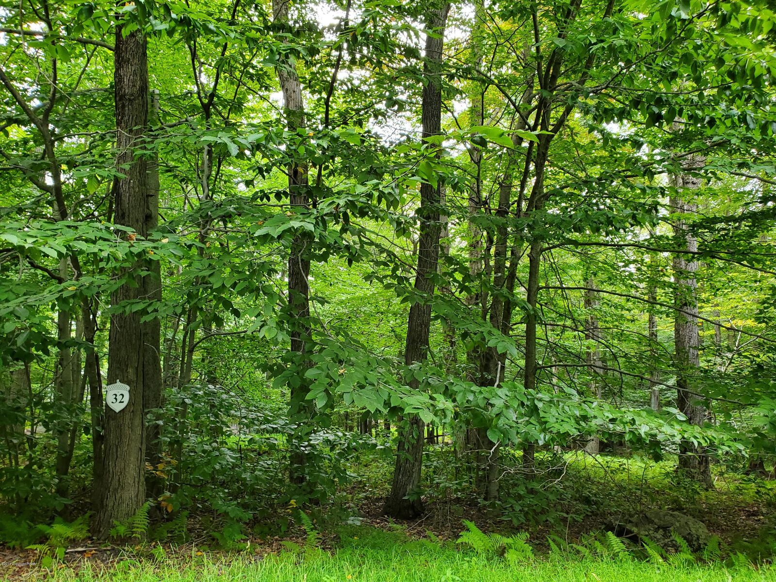 Property Photo: 32 Tall Oak Drive PA 18347