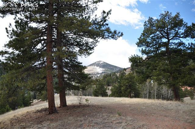 Property Photo:  418 Copper Mountain Drive  CO 80813 