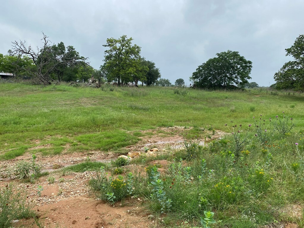 Property Photo:  960 Eagle St  TX 78624 