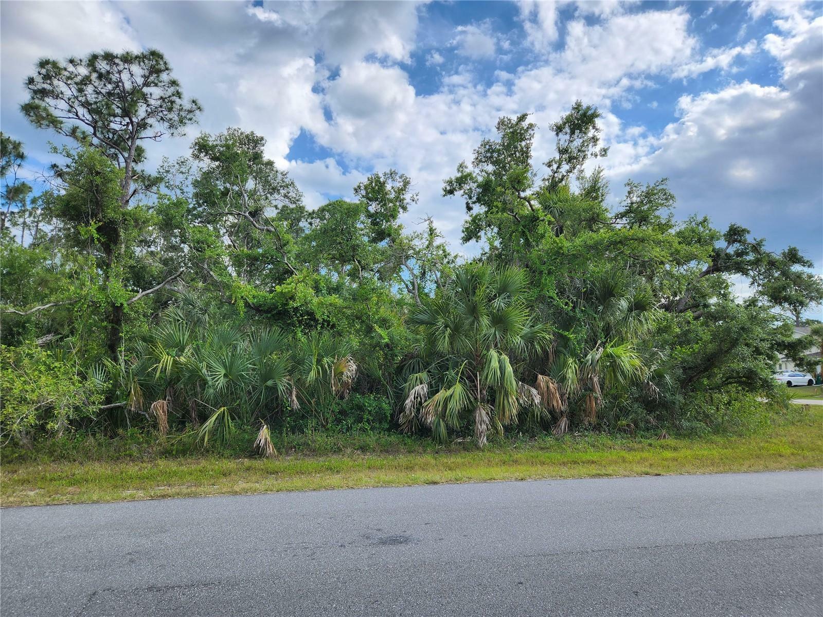 Property Photo:  288 And 298 Cornelius Boulevard  FL 33953 