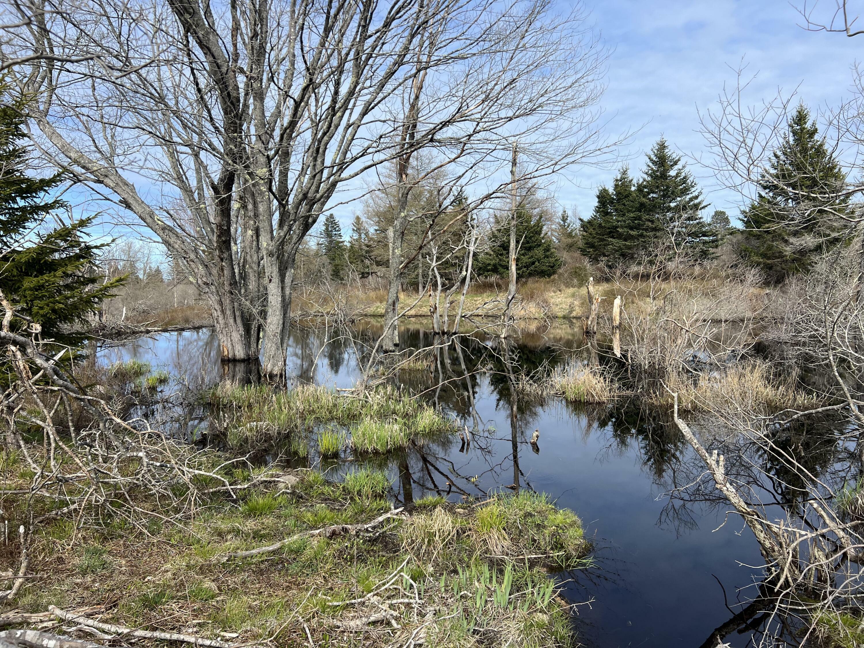 Property Photo:  Lot #8 Atlantic Road  ME 04685 