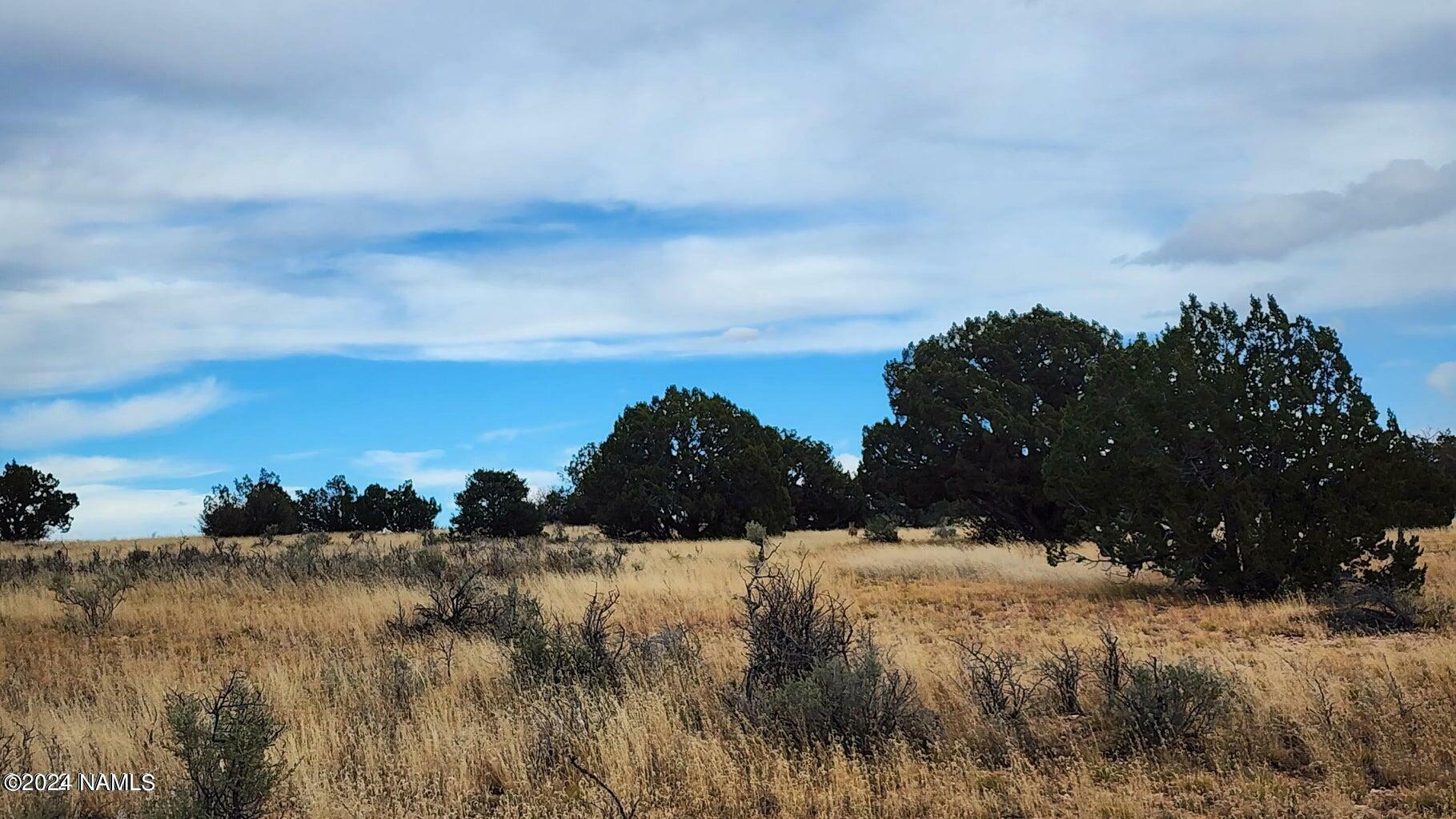 Property Photo:  8381 W Shingle Oak Lane  AZ 86046 