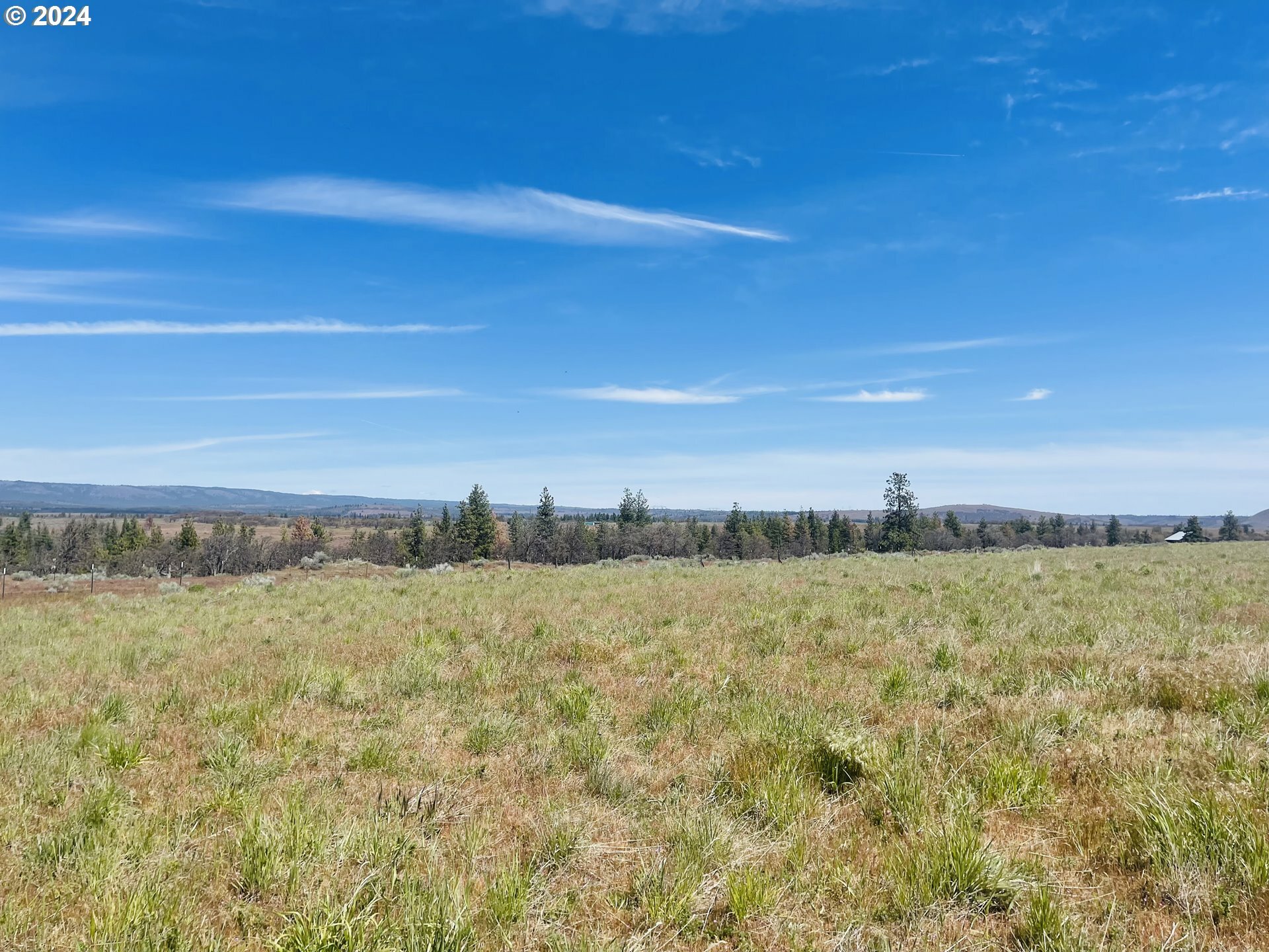 Property Photo:  Holter Rd  WA 98620 