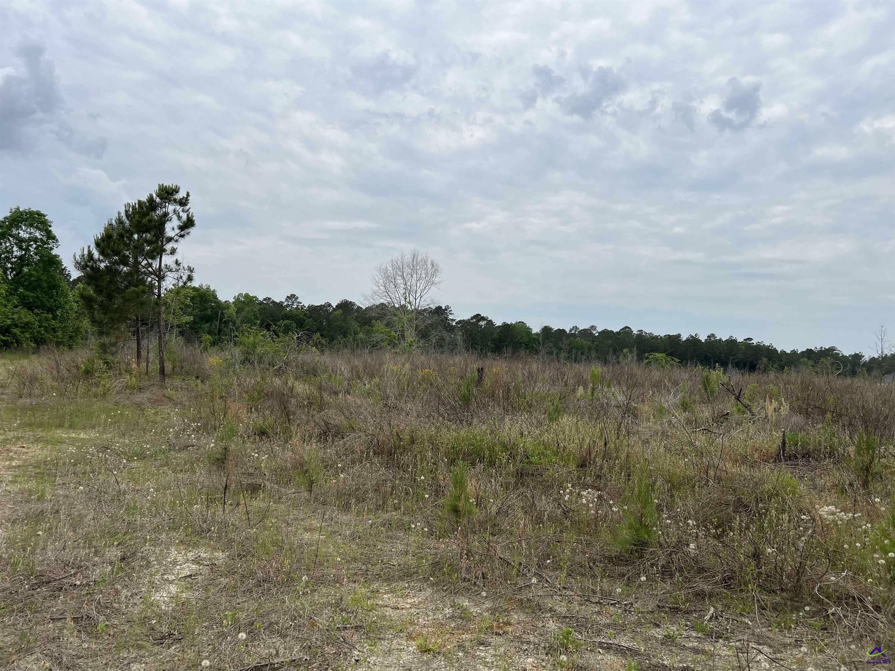 Property Photo:  Lot 4 Longstreet Church Road  GA 31014 