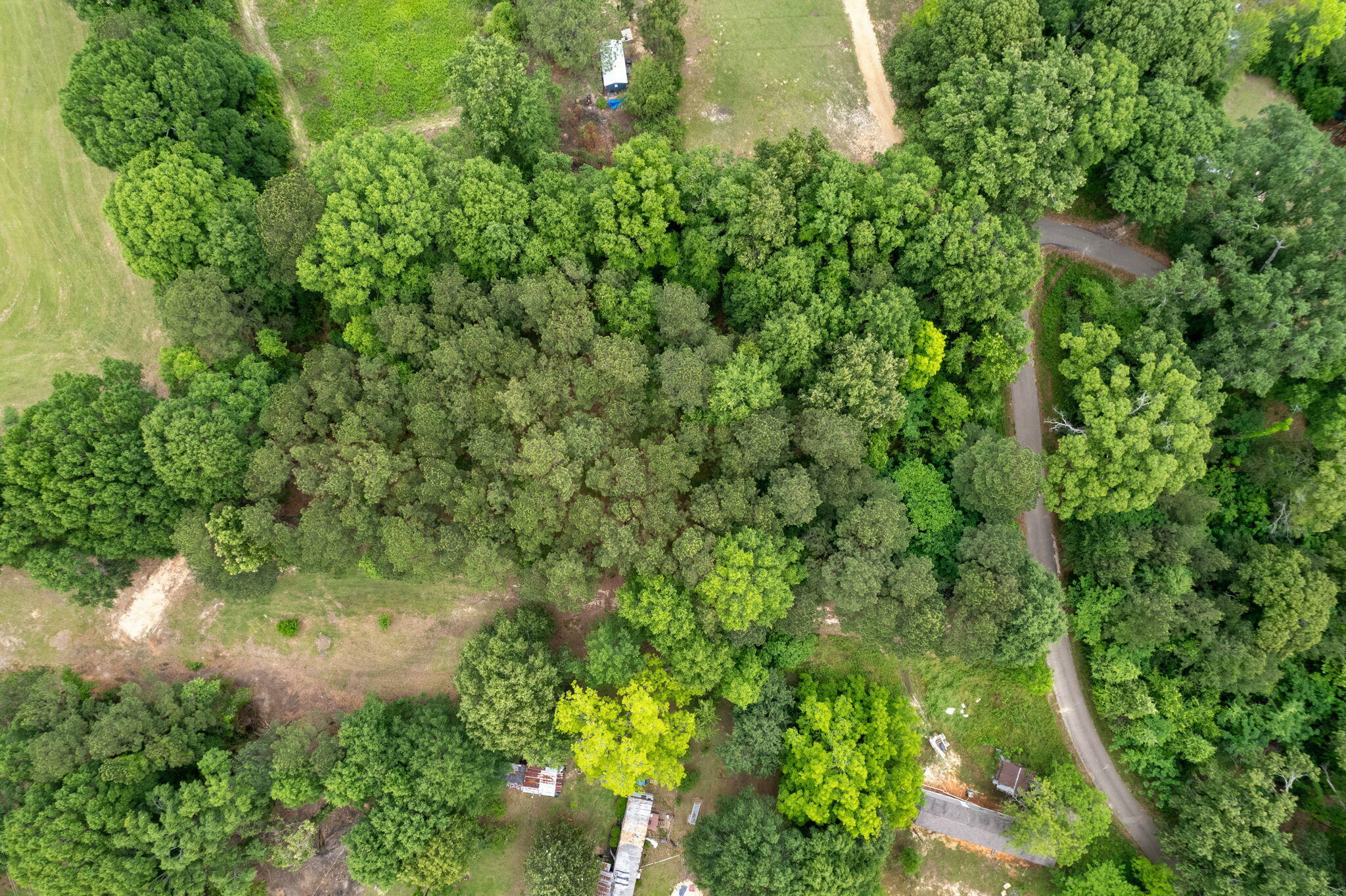 Property Photo:  1.52 Ac Coker Rd  MS 39455 