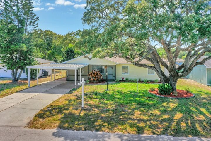 Property Photo:  1556 Young Avenue  FL 33756 