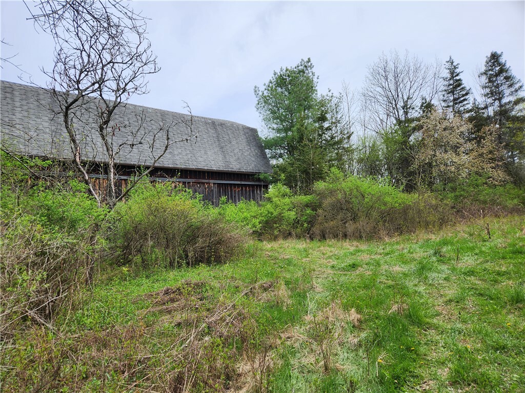 Property Photo:  Near 1661 Mecklenburg Road  NY 14850 