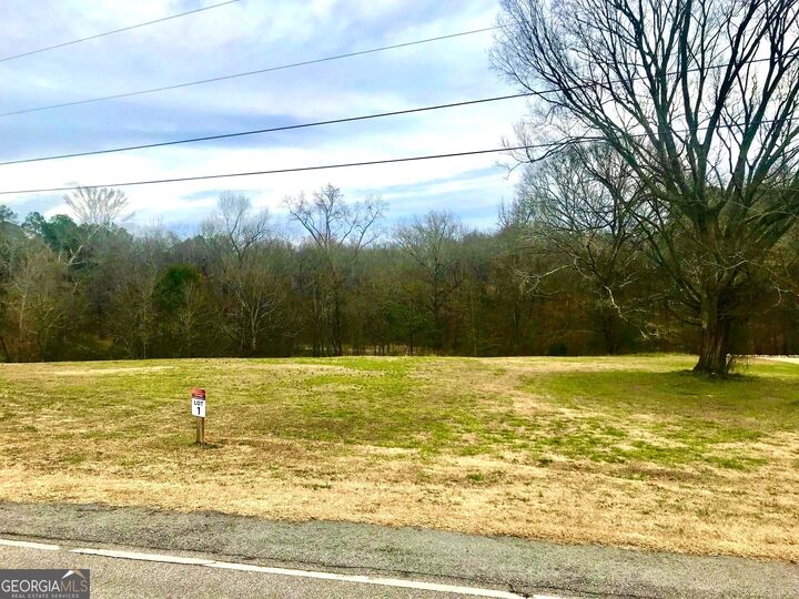 1070 Sunset Bluff  Greensboro GA 30642 photo