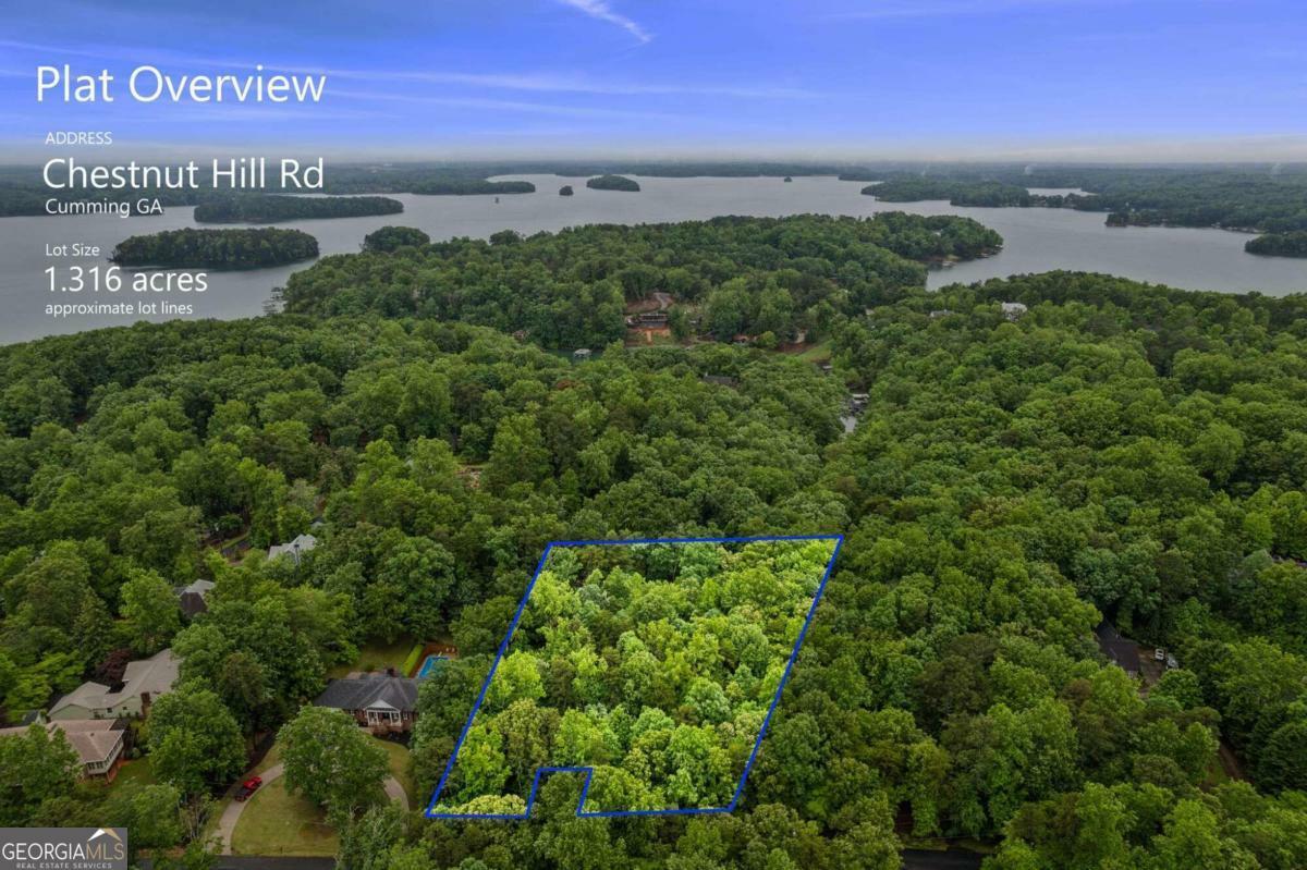 Property Photo: 0 Chestnut Hill Road GA 30041