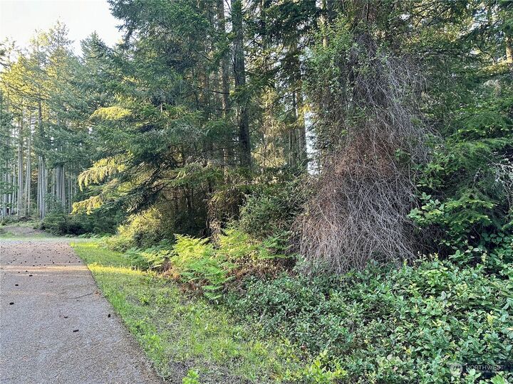 Property Photo:  9505 110th Avenue Ct  WA 98303 