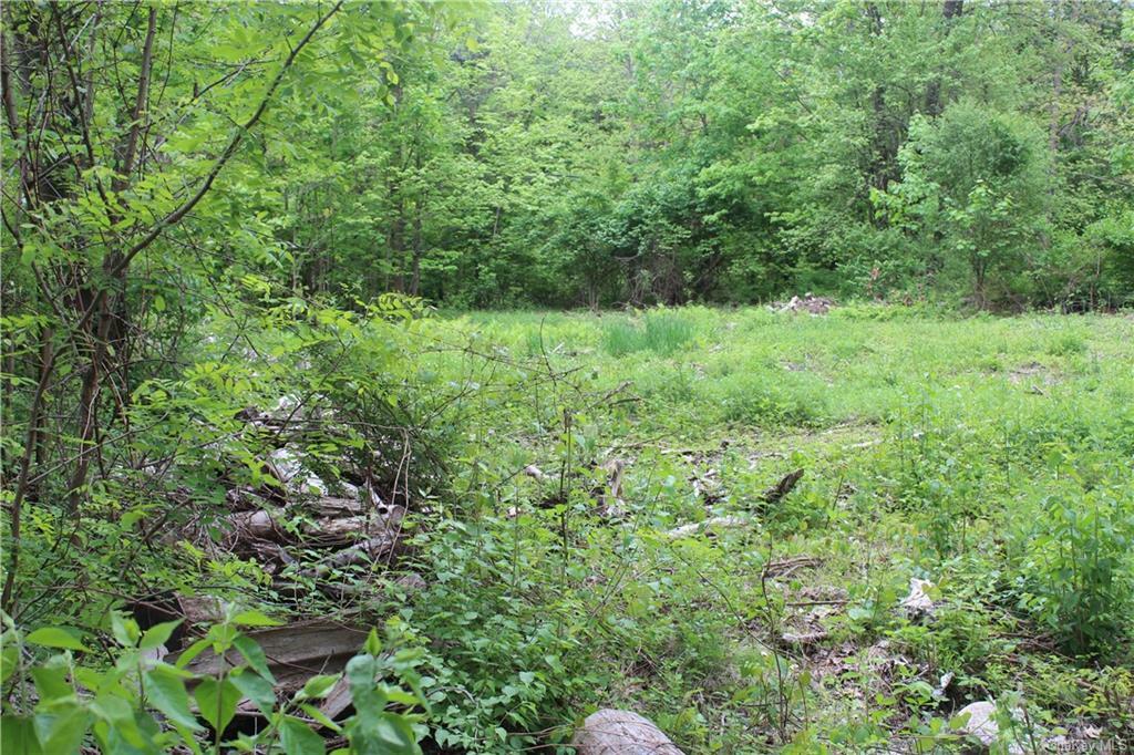 Property Photo:  Lakes Road  NY 10950 