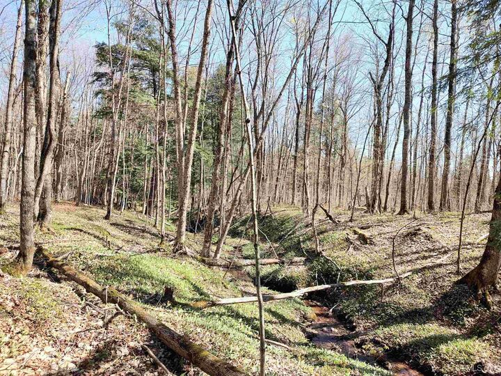 Property Photo: Tbd N Firesteel Road MI 49929