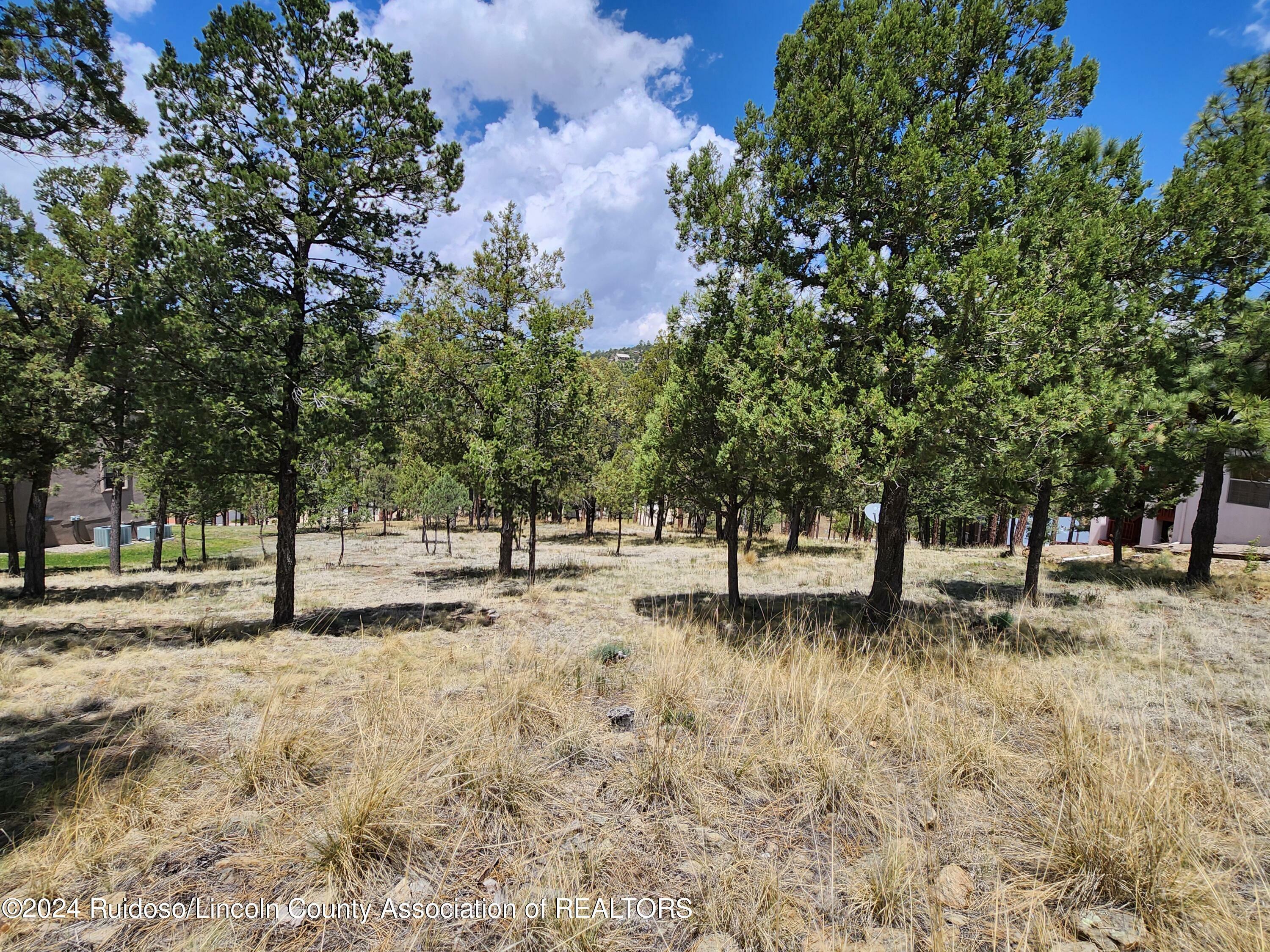 Property Photo:  116 Pat Thompson Court  NM 88345 