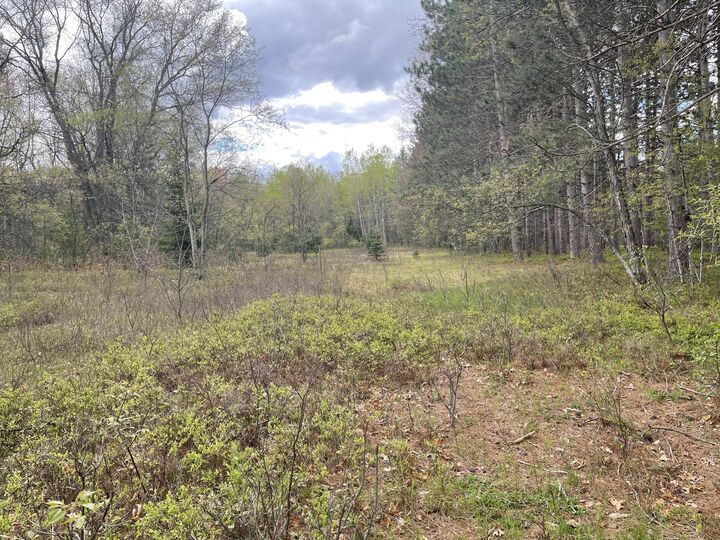 Lansing Road  Houghton Lake MI 48629 photo