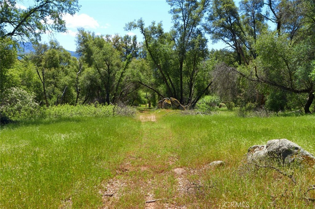 Property Photo:  0 Road 425A  CA 93644 