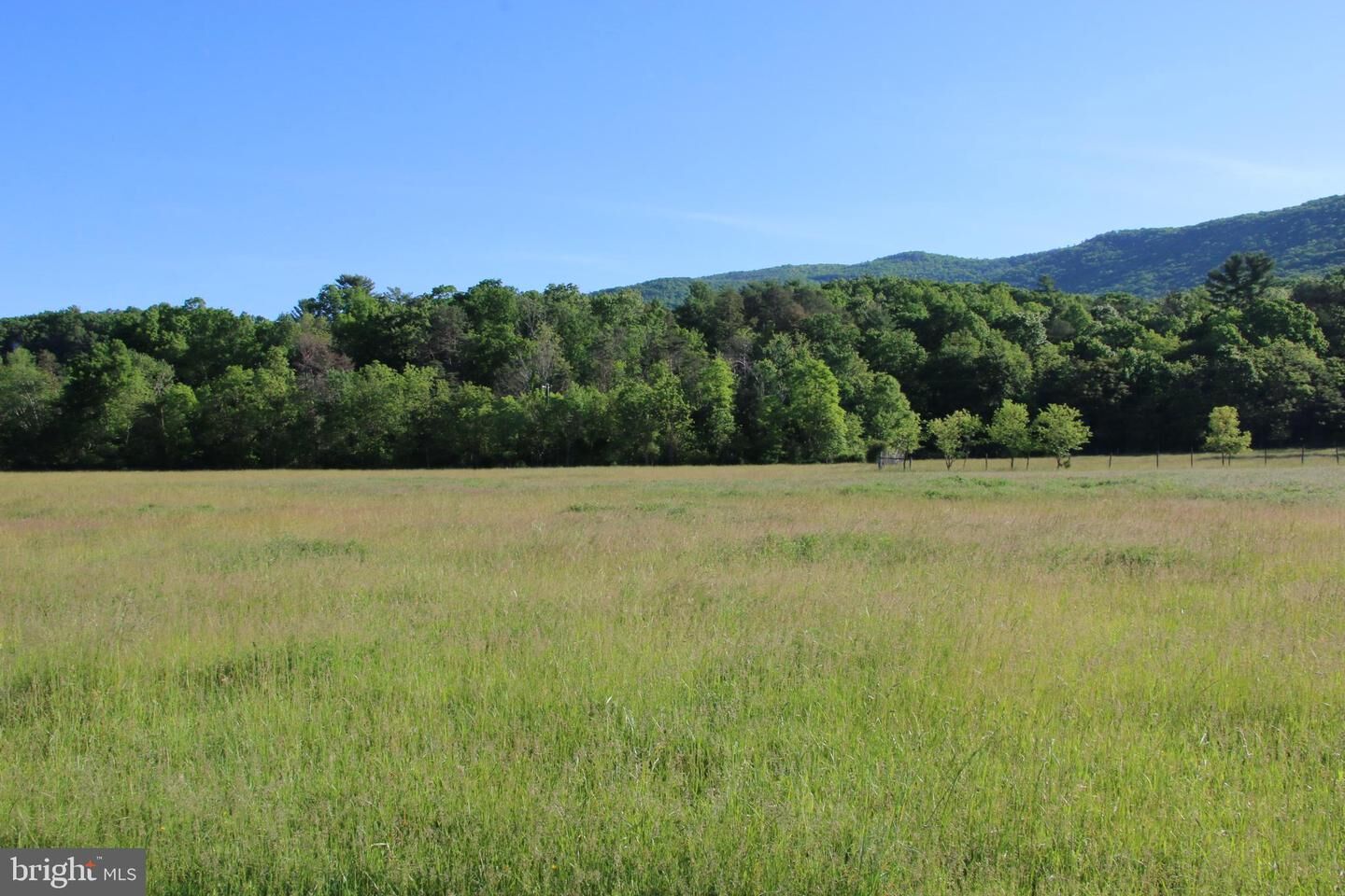 Property Photo: Naked Creek Road VA 22827