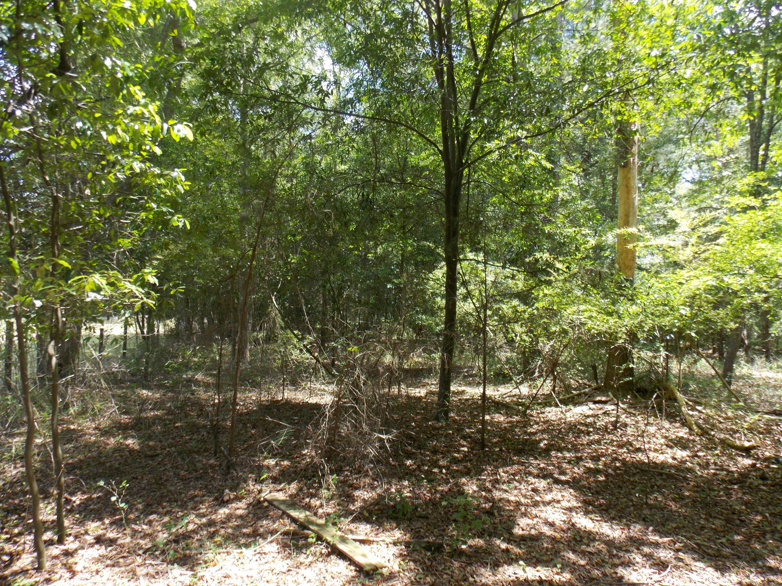 Property Photo:  0reen Greenbrier Road  GA 30824 