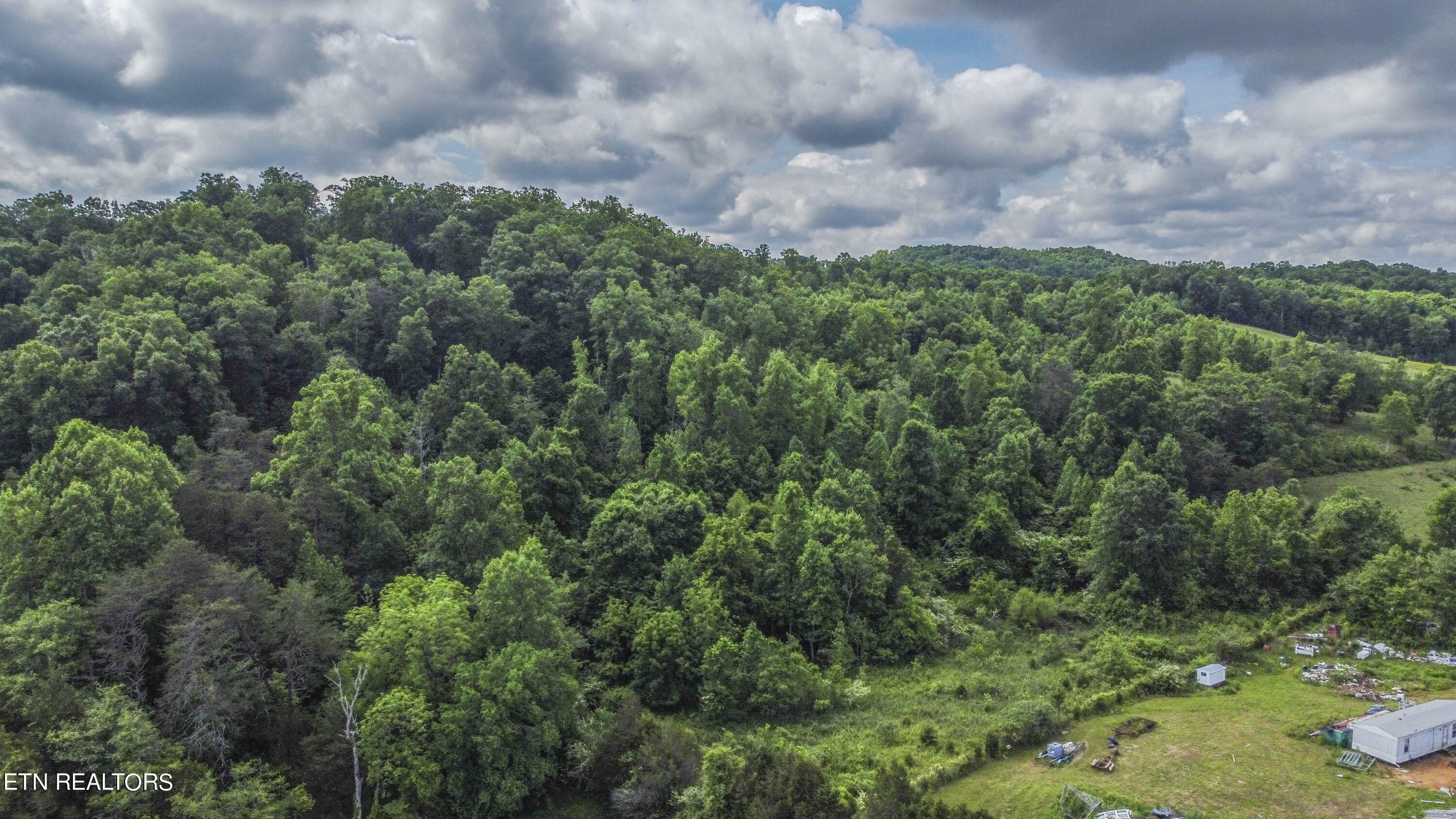 Property Photo:  234 Laurel Bluff Rd  TN 37763 