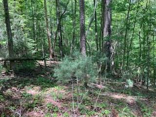 Lot 3760 Graham Court  Ellijay GA 30540 photo