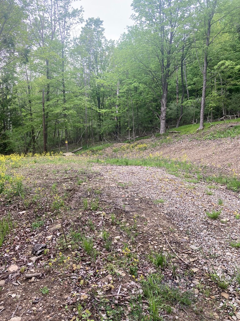 Property Photo:  4466 Swale Rd  NY 14819 