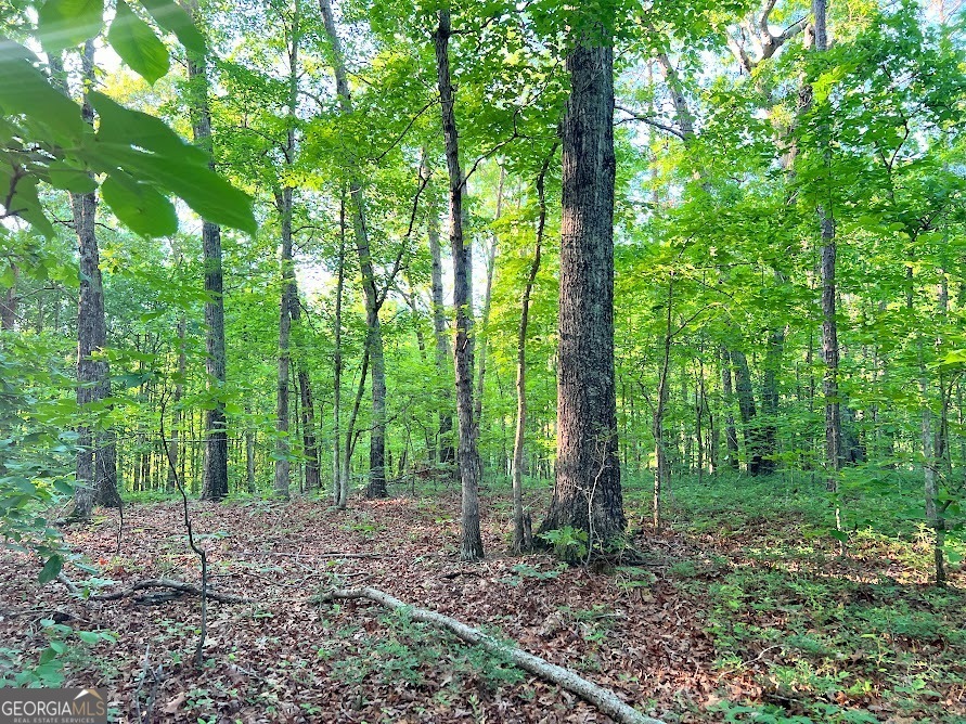 Property Photo: 0 Moccasin Lake Road GA 30187