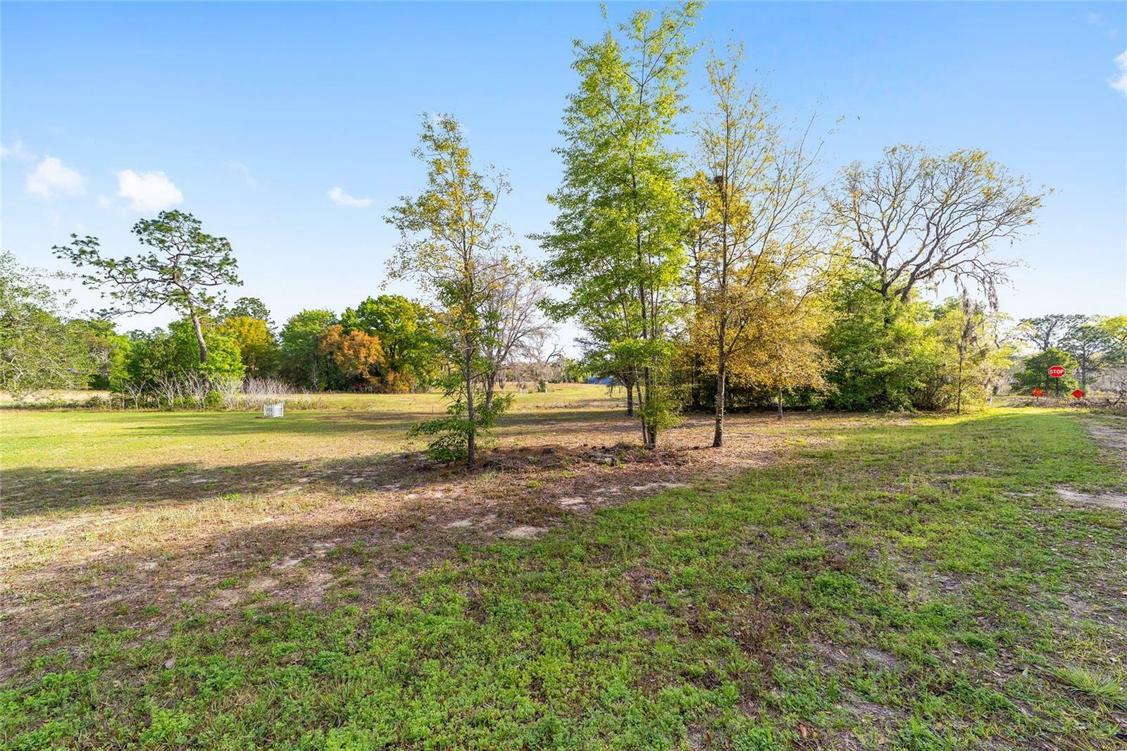 Property Photo:  0 NE 9th Street  FL 32696 