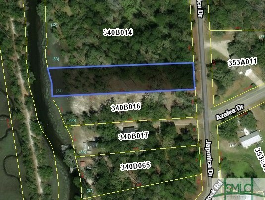 Property Photo:  Lot 34 Japonica Drive  GA 31320 