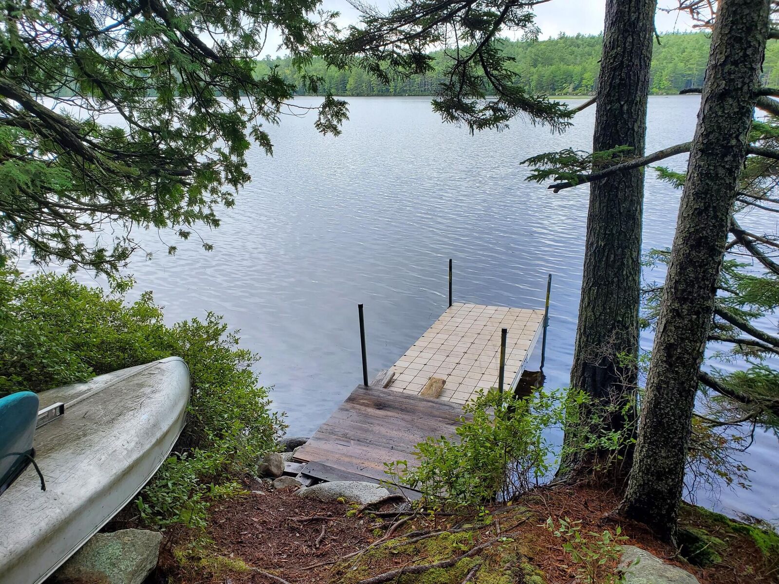 Property Photo: 45 Abbey Road ME 04622