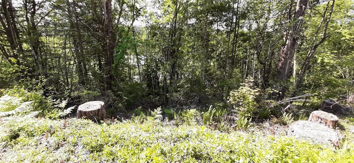 Property Photo:  101 NE Wj Way  WA 98528 