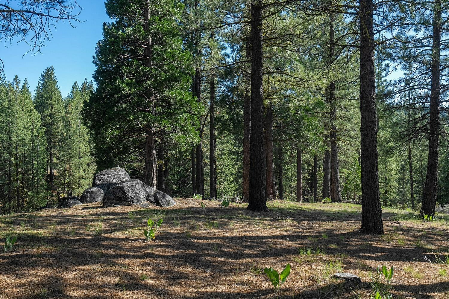 Property Photo:  924 Dancing Bears  CA 96106 