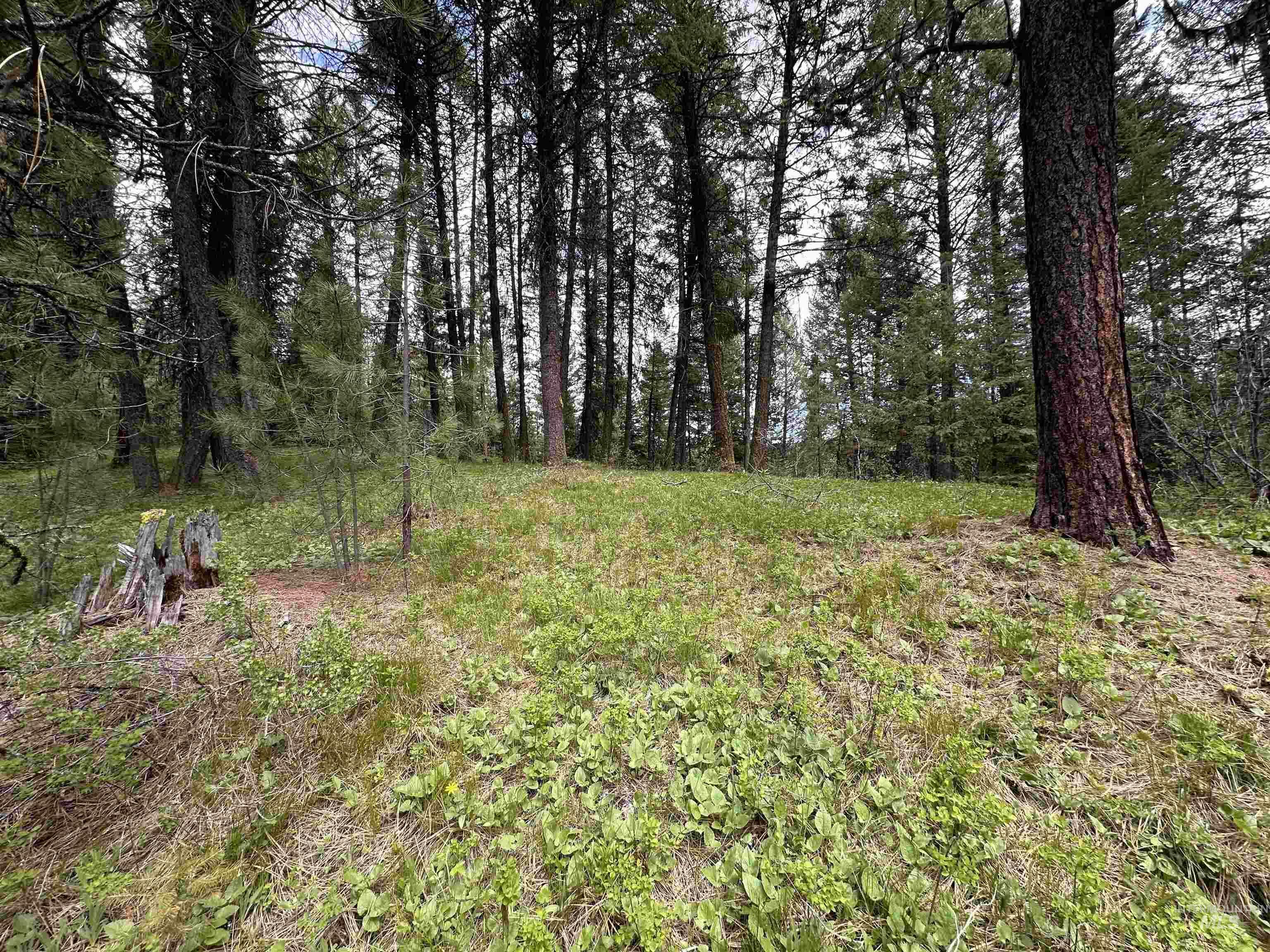 Property Photo:  Lot 1 Wilderness Ranch  ID 83611 