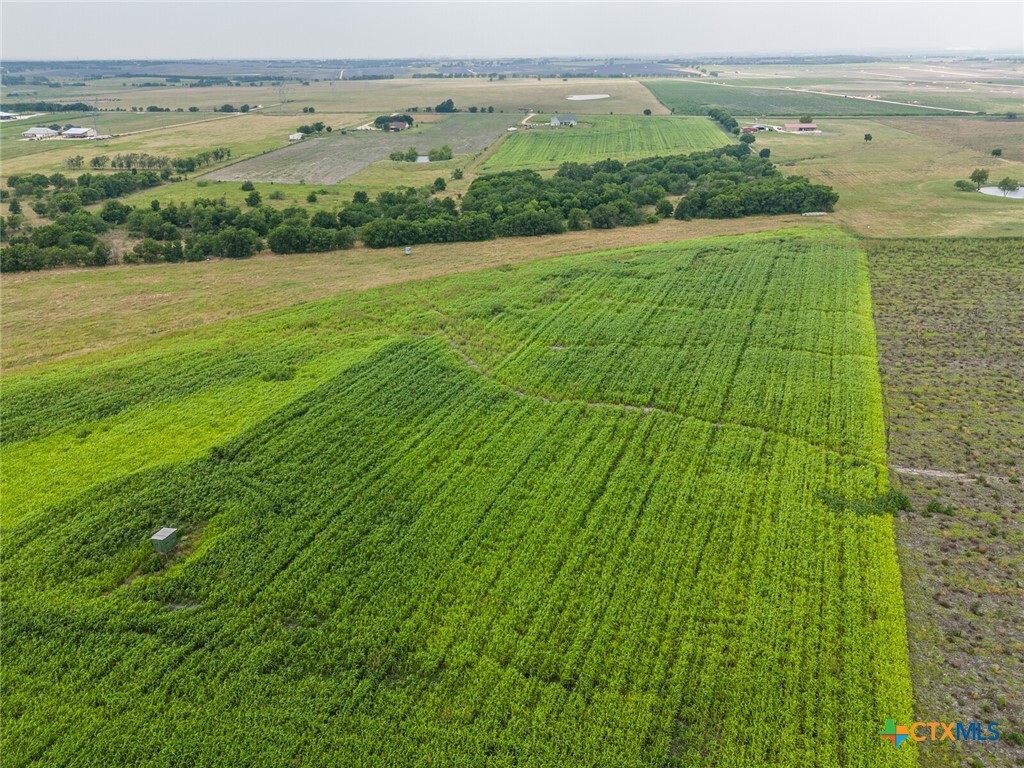 Property Photo: Tbd Stringtown Road TX 76569