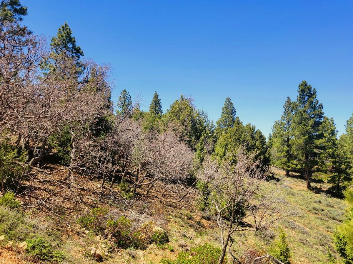 Property Photo:  Lot 5 Crestline Ave  UT 84762 