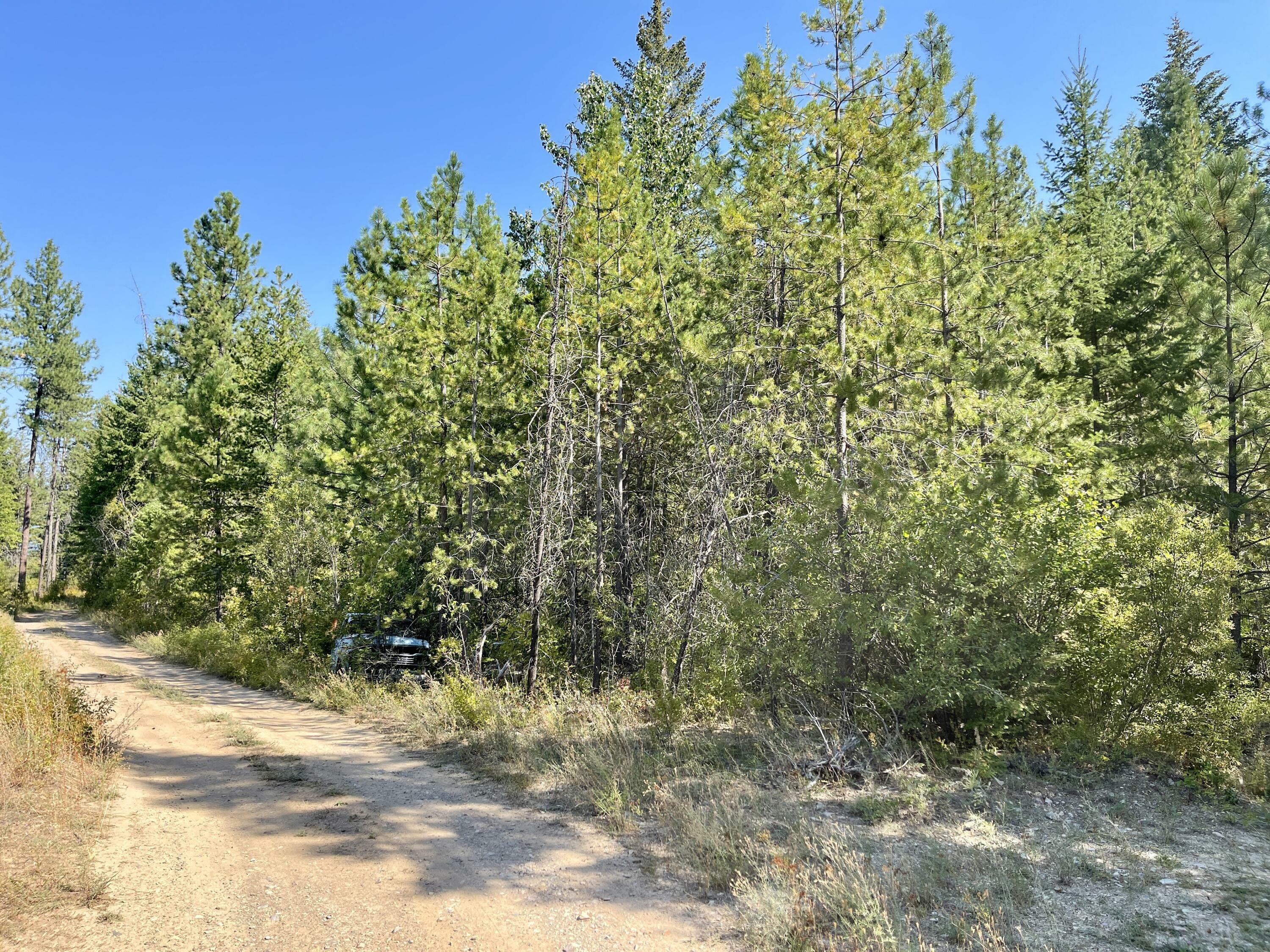 Property Photo:  Tbdxx Grouse Creek Rd Lot 20  WA 99109 