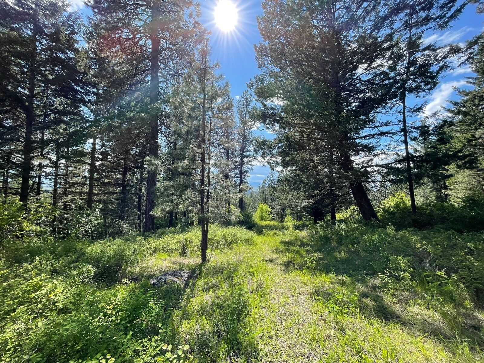 Property Photo: Nhn Addy Lane MT 59864