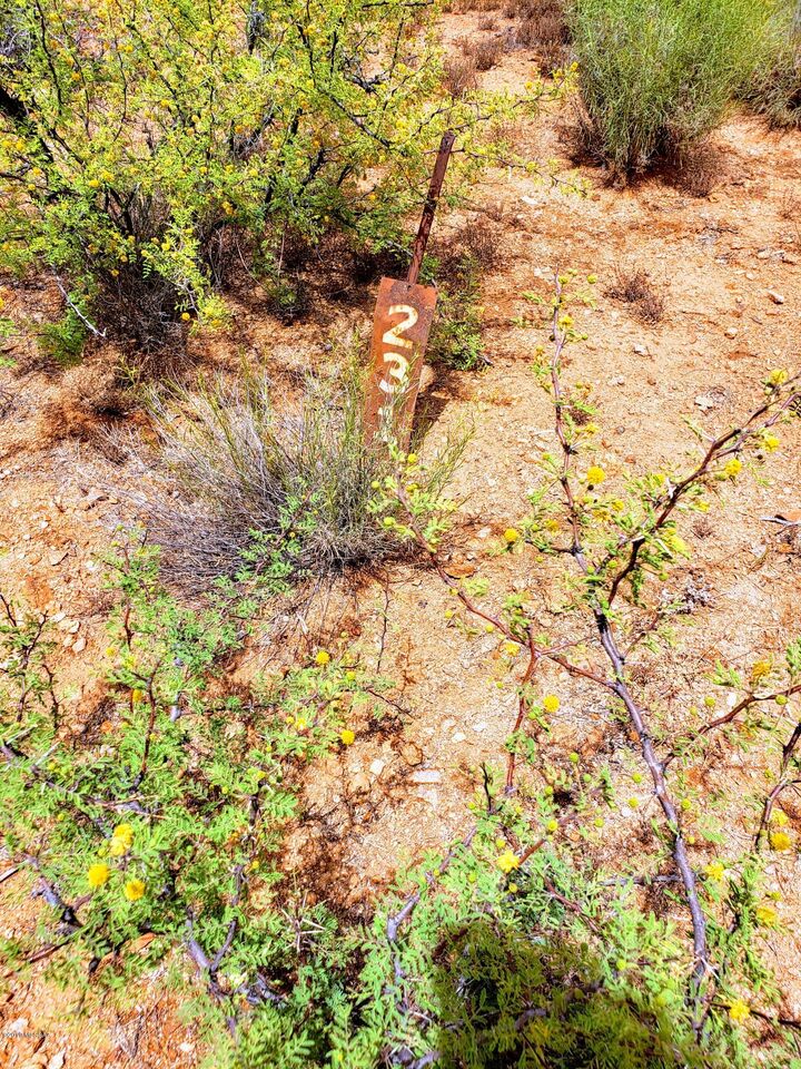 Property Photo:  16370 W Renner Avenue 231  AZ 85736 