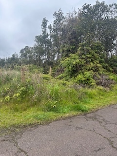 Property Photo:  Pa Alii St  HI 96785 
