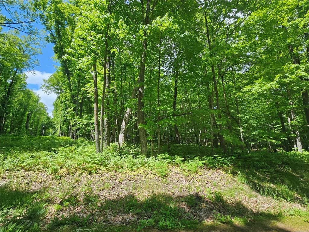 Property Photo:  Lot 1 & 2 Linden Road  WI 54843 