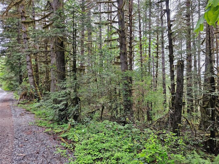 Property Photo: 7655 Trill Pit Rd BC