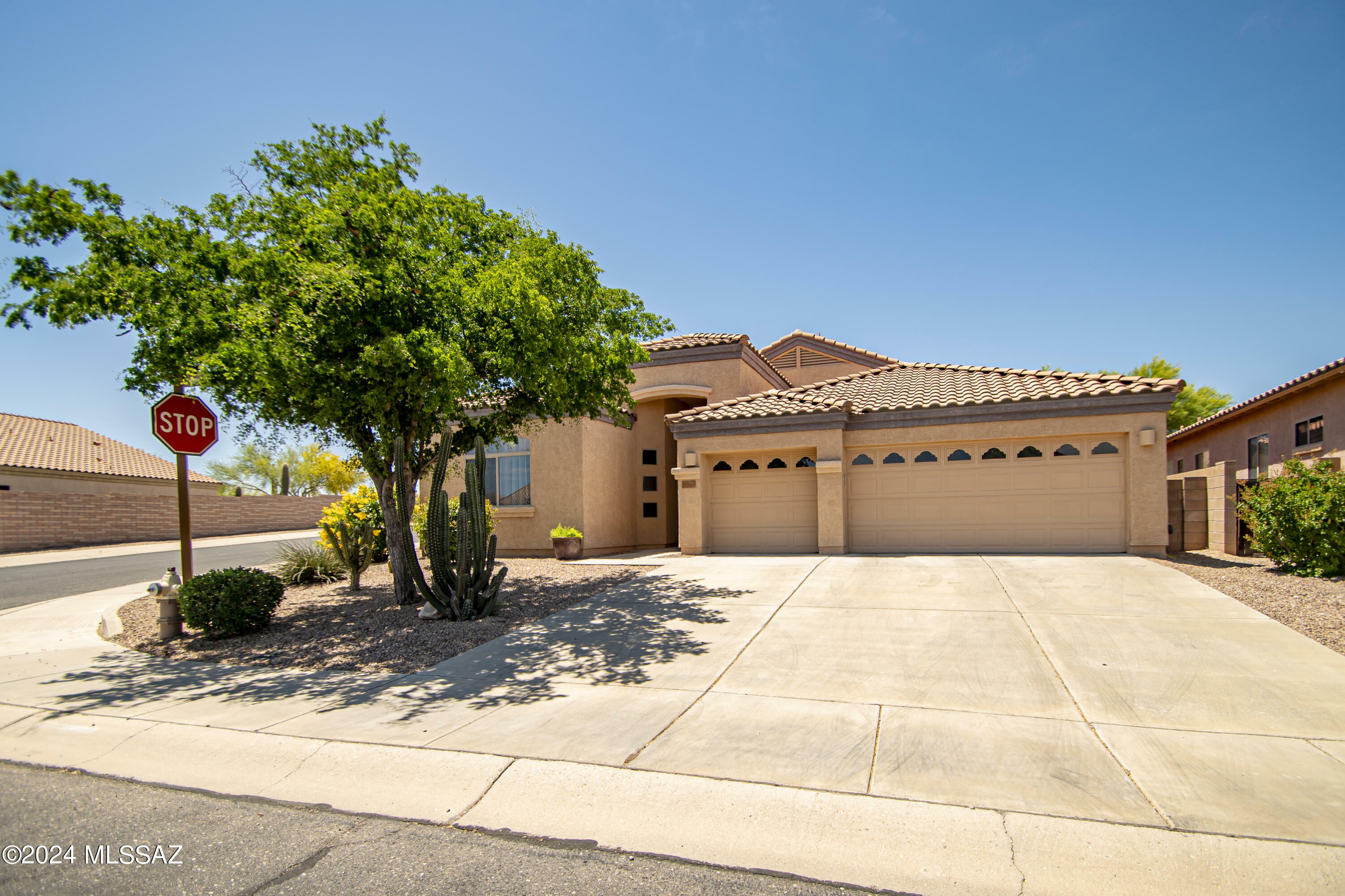 Property Photo:  7065 W Lone Flower Drive  AZ 85743 