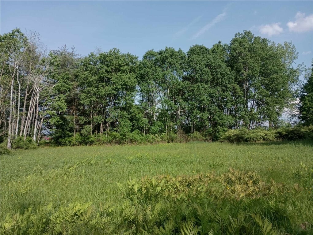 Property Photo:  0 Jacksonville Road  NY 14886 