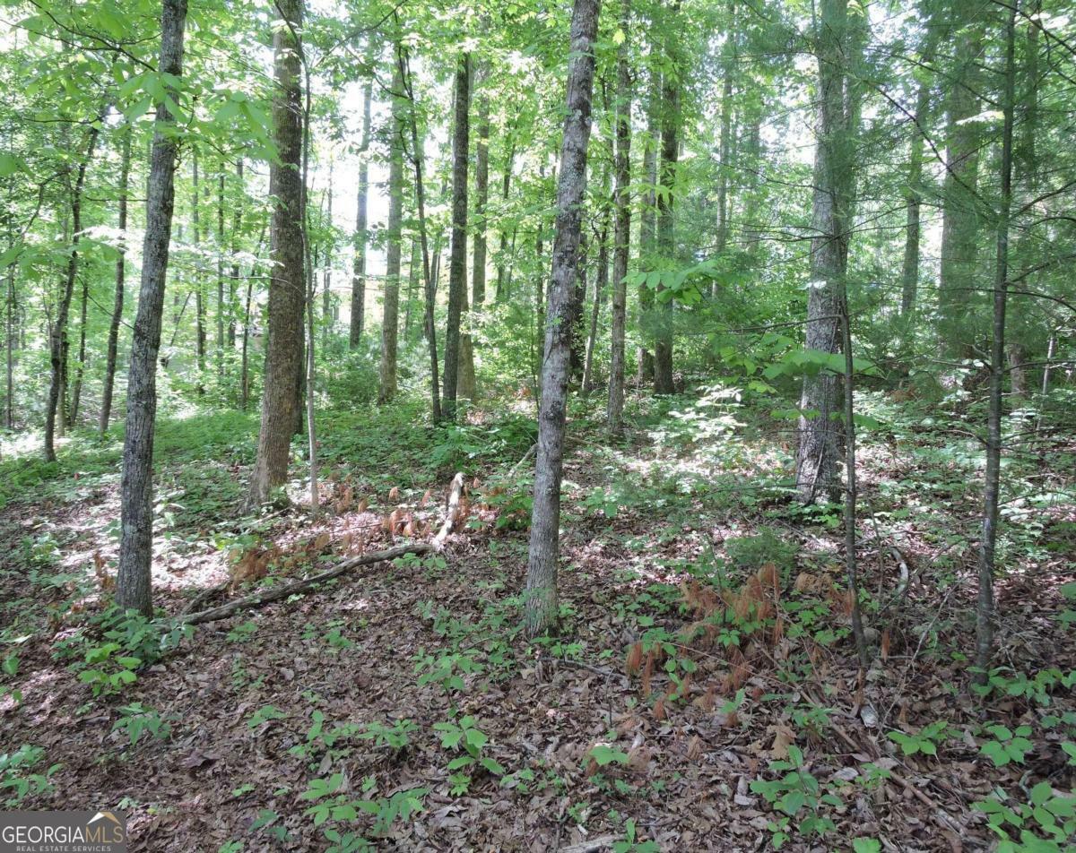 Property Photo:  00 Old Hwy 64E 14  NC 28904 