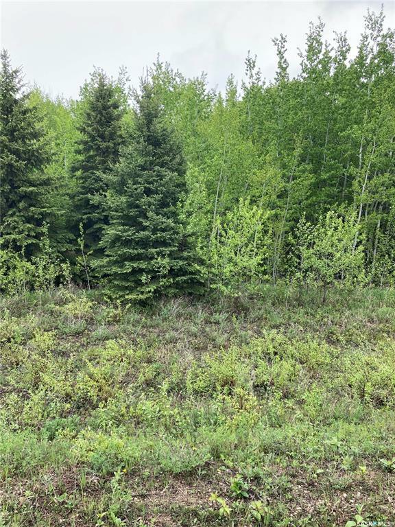 Photo de la propriété:  Rural Address  SK S0A 4A0 