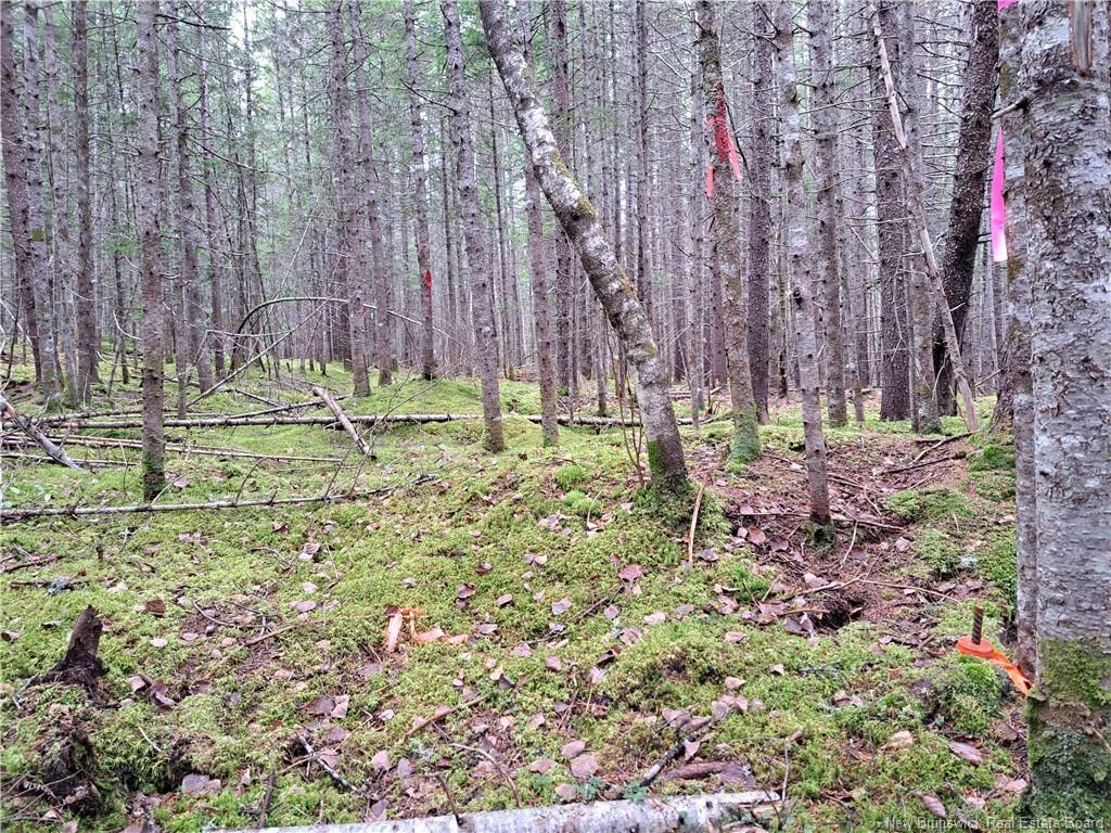 Property Photo:  Lot 2022-2 Sunpoke Road  NB E3B 8Y6 