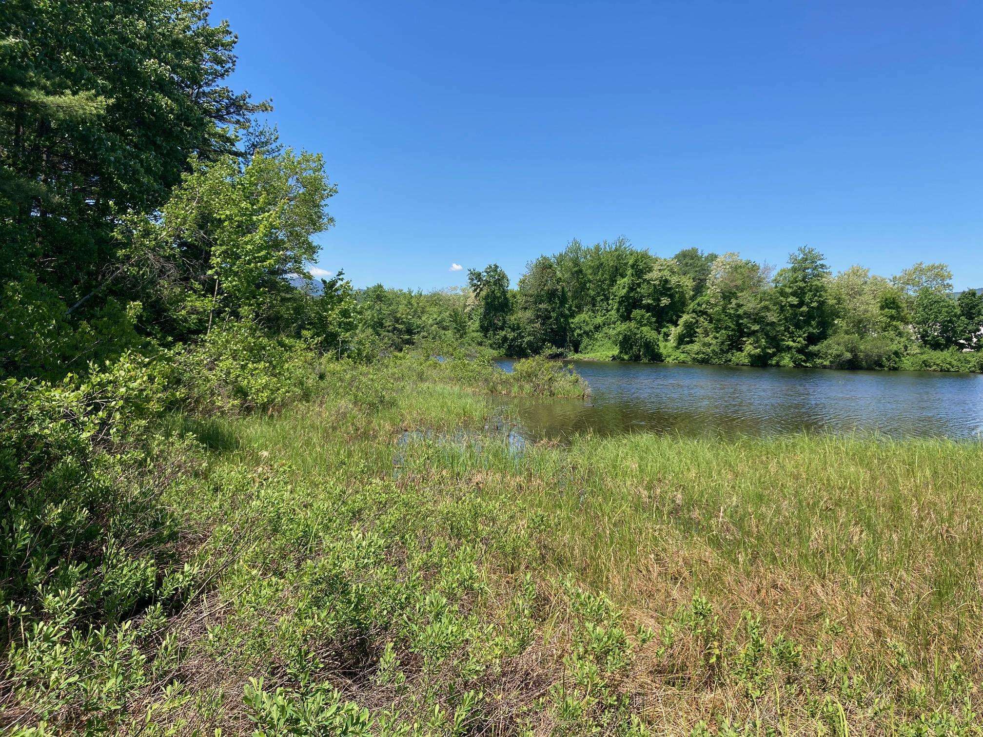 Property Photo:  00 Pequawket Trail  NH 03818 