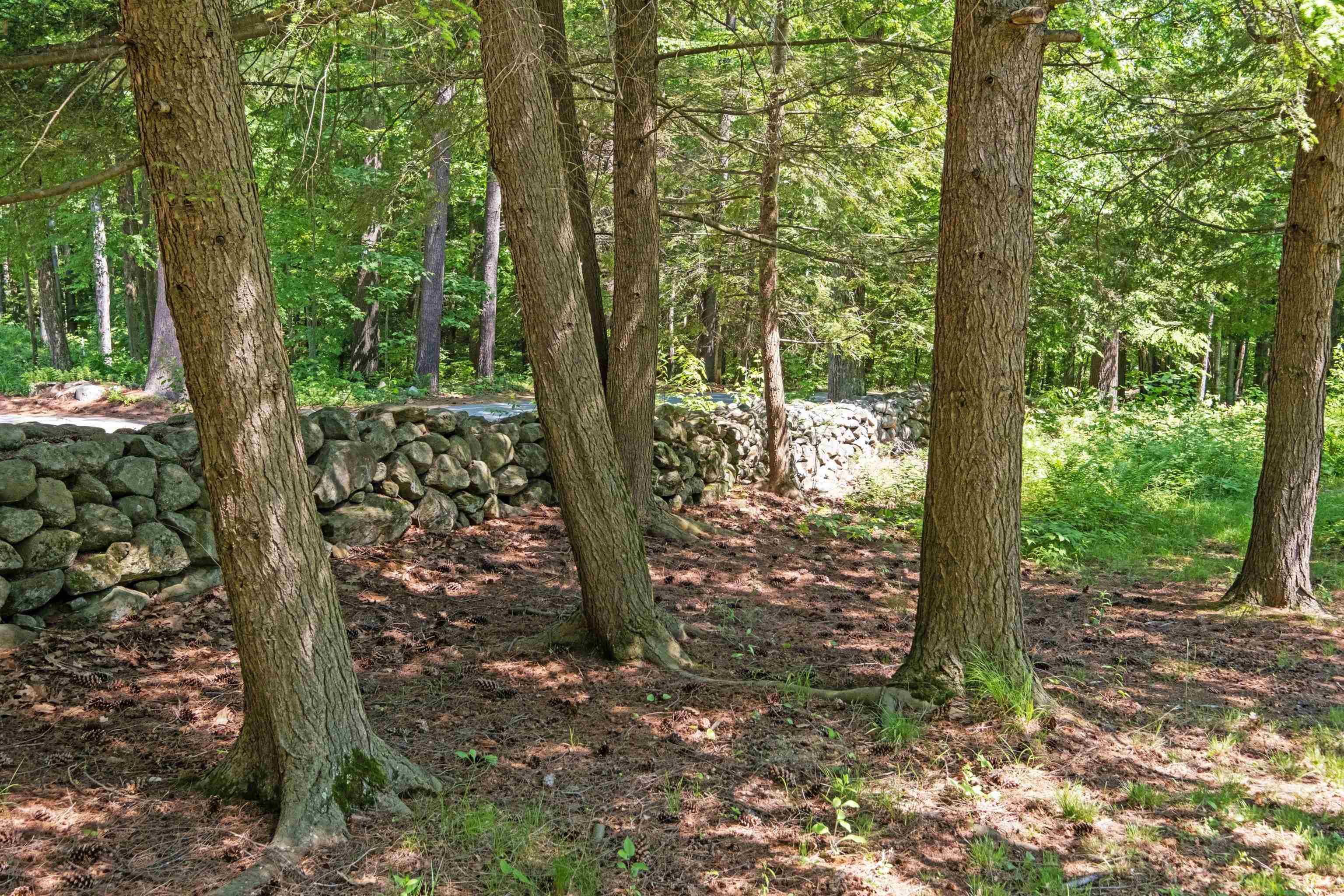 Property Photo: 53 Woodhill Hooksett Road NH 03304