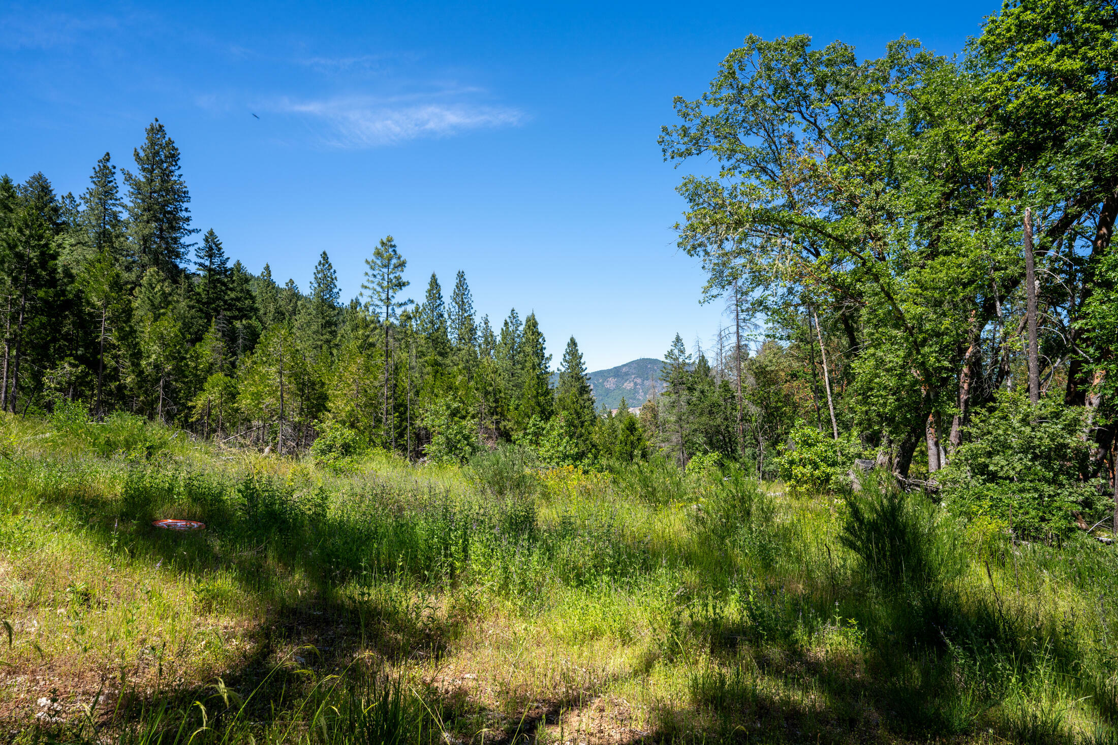 Property Photo:  2715 Savage Creek Road  OR 97527 